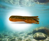 Xtreme Bass Tackle 2.75" tube