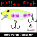 Killer Fish Rattling Shallow Diver