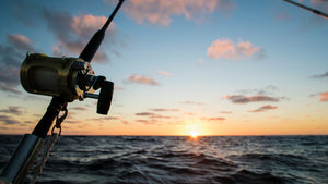 Great Lakes Trolling Salmon Fishing Rod and Reel Lake Michigan, Superior, Huron, Erie, and Ontario
