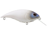 Berkley Shallow Money Badger 6.25