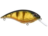 Berkley Shallow Money Badger 6.25
