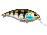 Berkley Shallow Money Badger 6.25