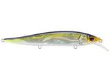 Berkley Stunna Series Jerkbait