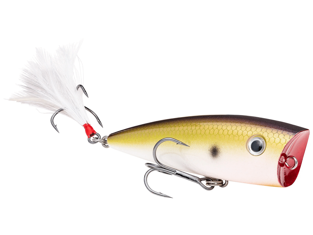 Strike King HC KVD Splash Popper – Outdoorsmen Pro Shop