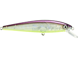 Strike King KVD Jerkbait