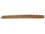 Zoom Bait Company Centipede