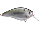 Strike King KVD 2.5 Squarebill Crankbait