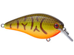 Strike King KVD 1.5 Square Bill Crankbait